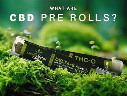 What are CBD Pre-Rolls- Effects and Benefits of the CBD Pre-Rolls