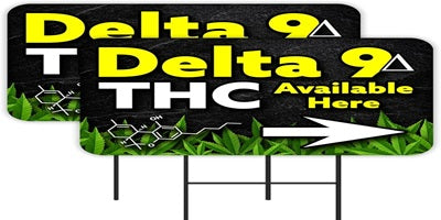 Explore High-End Delta 9 Vape Cartridges: Leading Brands and Delectable Tastes