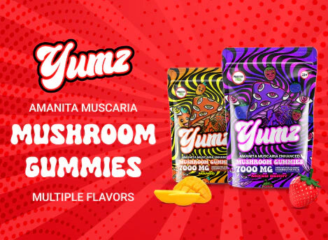 Discover the Mushroom Gummies at Smokegem
